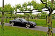 Le Jaguar nella zona del Prosecco e Cartize (86/152)